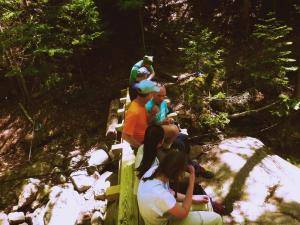 2017-06-12 02.58.05 1