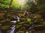 2017-06-12 02.58.07 1