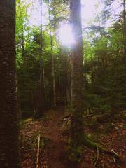 2017-06-12 02.58.09 1