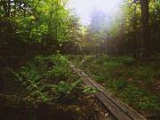 2017-06-12 02.58.13 1