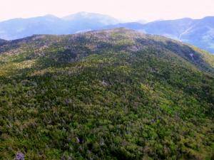 2017-06-12 02.58.35 1