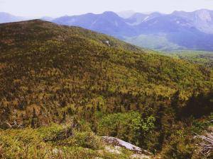 2017-06-12 02.58.47 1