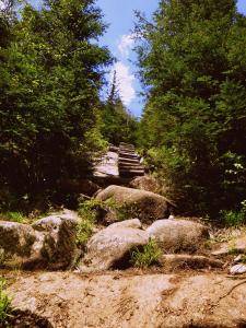 2017-06-12 02.58.50 1