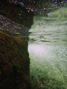 2017-06-12 02.58.52 1