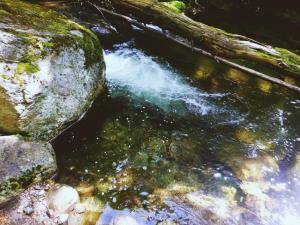 2017-06-12 02.58.55 1