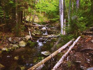 2017-06-12 02.58.57 1