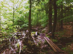 2017-06-12 02.59.02 1