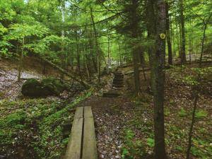 2017-06-12 02.59.05 1