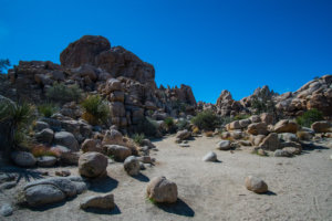 20180315-10-DSC02777