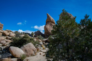 20180315-11-DSC02779