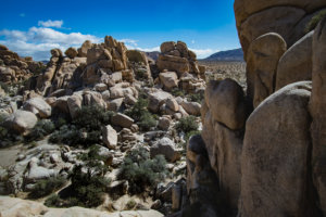 20180315-12-DSC02793