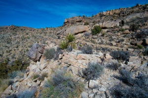 20180315-18-DSC02866