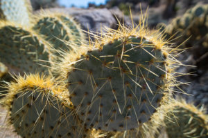 20180315-19-DSC02869