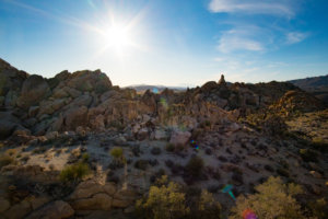 20180315-21-DSC02970