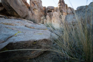 20180315-22-DSC02982