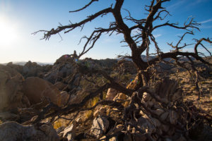 20180315-23-DSC02984