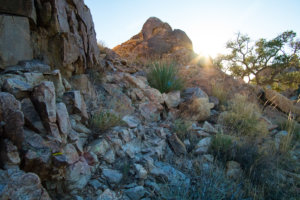 20180315-24-DSC02986