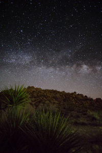 20180316-33-DSC03105 (1)