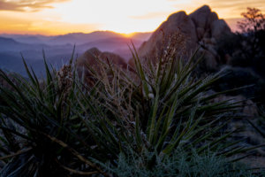 20180316-38-DSC03213