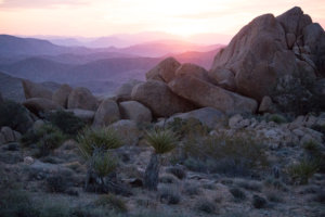 20180316-42-DSC03228