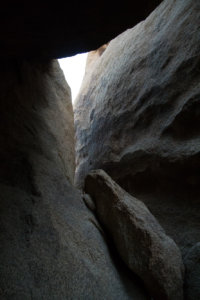 20180316-45-DSC03263