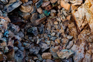 20180316-47-DSC03294