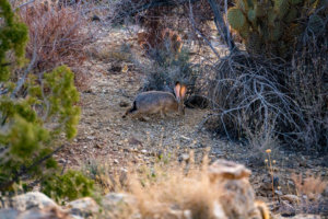 20180316-48-DSC03304