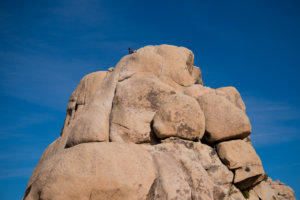 20180316-50-DSC03326