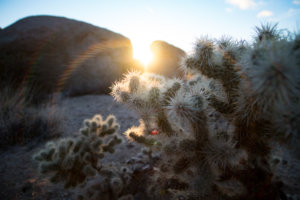 20180317-57-DSC03527