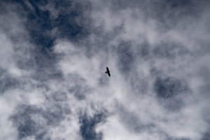 20180317-64-DSC03654