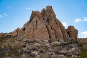 20180317-66-DSC03684