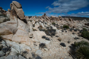 20180317-67-DSC03707