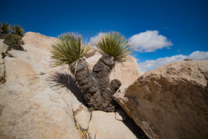 20180317-70-DSC03747