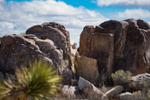 20180317-71-DSC03752