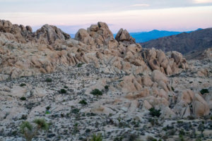 20180317-74-DSC03785