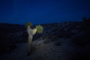 20180317-76-DSC03817