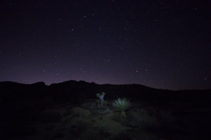 20180318-81-DSC03891