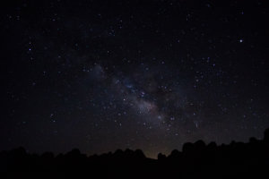 20180318-83-DSC03914