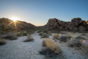 20180318-85-DSC03976