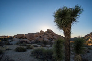 20180318-86-DSC03989