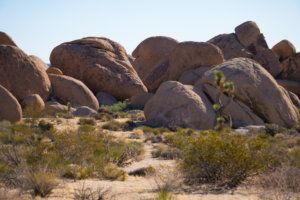 20180318-87-DSC04032 (1)