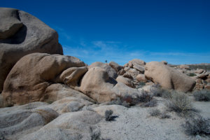 20180318-91-DSC04071