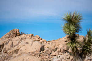 20180318-96-DSC04206 (1)