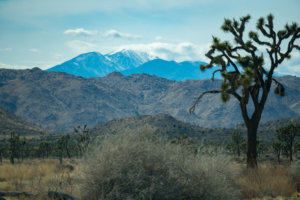 20180318-97-DSC04211