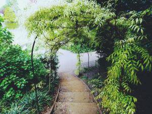 2017-05-08 09.18.03 1