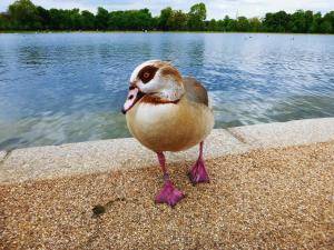 2017-05-08 09.18.13 2