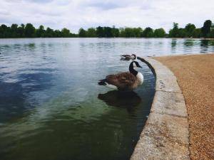 2017-05-08 09.18.17 2