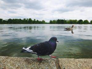 2017-05-08 09.18.22 2