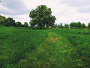 2017-05-08 09.18.29 1