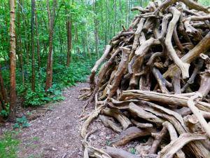 2017-05-10 05.41.41 1